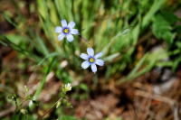 �C���[�W03
