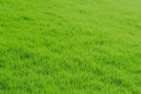 �C���[�W02